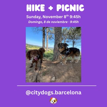 Cover Image for HIKE + PICNIC