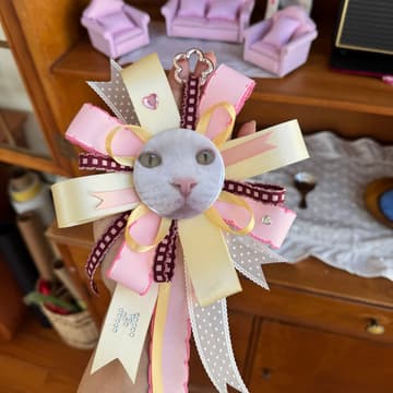 Cover Image for Prize Ribbon Pin & Bag Charm🎀
