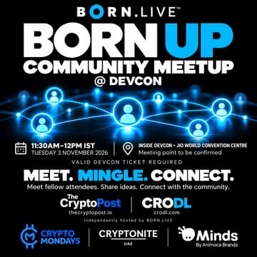 Cover Image for BORN UP — Devcon Mumbai Community Networking Meetup