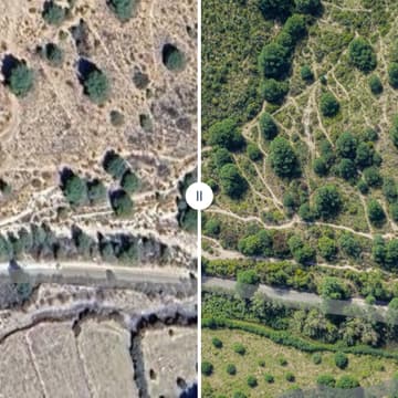 Cover Image for Sewing The Landscape: Creating Thriving Landscapes to break the Drought, Fire, Flood Cycle.