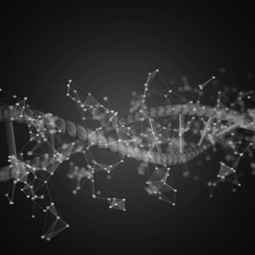 Cover Image for Talent, kariéra, praxe: co funguje v pražském biotechu