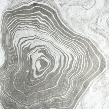 Cover Image for Water as Portal: a Suminagashi Workshop
