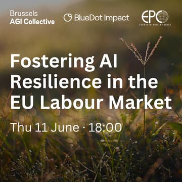 Cover Image for Fostering AI Resilience in the EU Labour Market (Brussels AGI Collective)