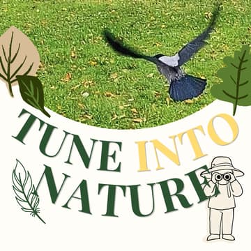 Cover Image for Lülita end looduse lainele! 6 | Tune into nature! 6