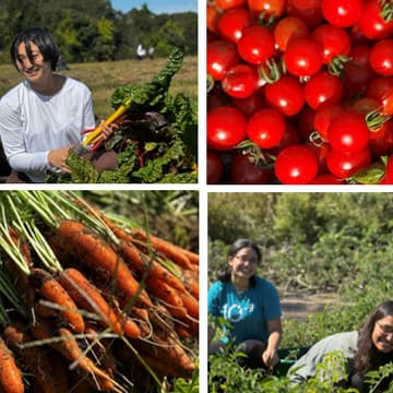 Cover Image for Hannan Farm Volunteer Party