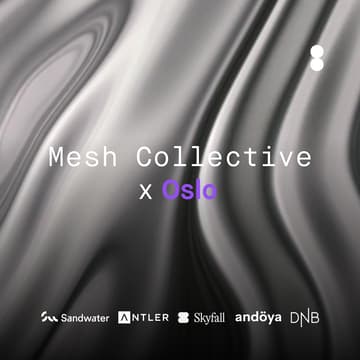 Cover Image for Mesh Collective X Oslo