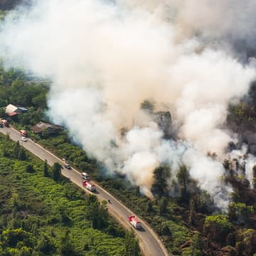 Cover Image for From Forest Fires to Transboundary Haze: A Call for Collective Action in Southeast Asia