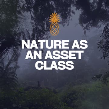 Cover Image for Circle: Nature as an Asset Class
