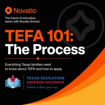 Cover Image for TEFA 101: The Process