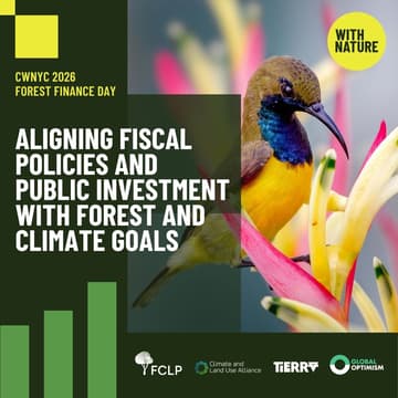 Cover Image for Aligning Fiscal Policies and Public Investment with Forest and Climate Goals
