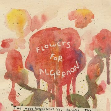 Cover Image for Same Page #2: Flowers for Algernon 🧠🐹