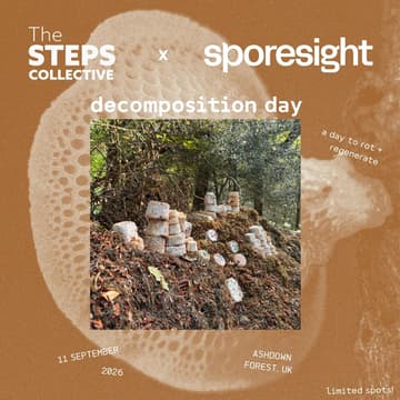 Cover Image for STEPS x Sporesight - Decomposition Day