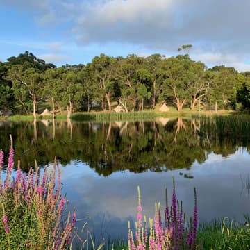 Cover Image for Three-Day Pattern Mind Retreat at Iluka Retreat