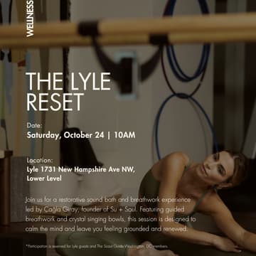 Cover Image for The Lyle Reset for the Scout Guide DC Members
