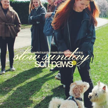 Cover Image for Slow Sunday Morning Walk