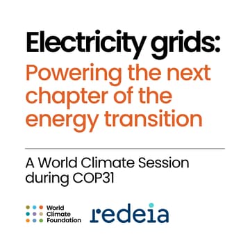 Cover Image for Electricity grids: Powering the next chapter of the energy transition