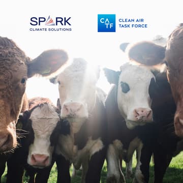 Cover Image for Unlocking Market Mechanisms to Scale Livestock Methane Mitigation