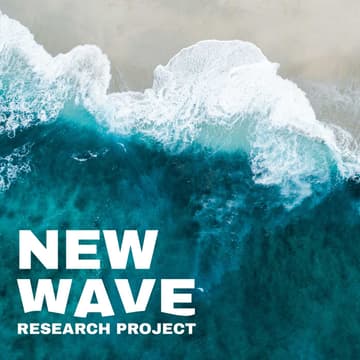 Cover Image for New Wave Successes & Struggles