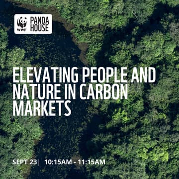 Cover Image for Elevating People and Nature in Carbon Markets