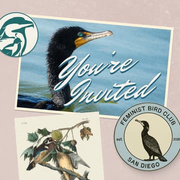 Cover Image for Birding for Birdability at Santee Lakes