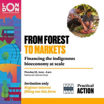Cover Image for From Forest to Market: Financing the Indigenous Bioeconomy at Scale