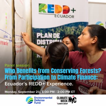 Cover Image for Who Benefits from Conserving Forests? From Participation to Climate Finance: Ecuador’s REDD+ Experience