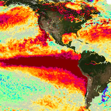 Cover Image for El Niño update with Zeke Hausfather and Beth Hartman: The science and what we can do