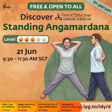 Cover Image for Discover Hatha Yoga - Standing Angamardana