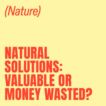 Cover Image for Natural Solutions: Valuable or Money Wasted?