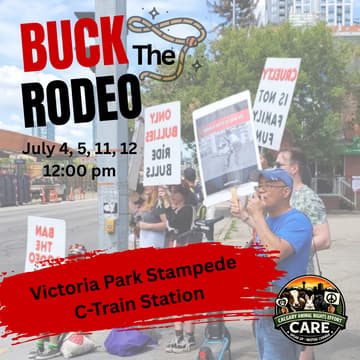 Cover Image for Buck the Rodeo at Calgary Stampede Rally
