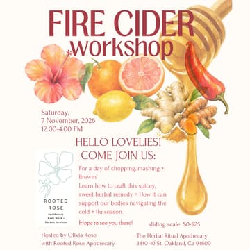 Cover Image for FIRE CIDER: Workshop