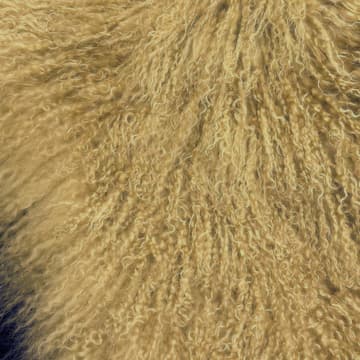 Cover Image for Jaqkodí: The Mongolian Fur Clutch Masterclass, June 19th.