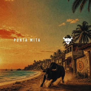 Cover Image for PUNTA MITA
