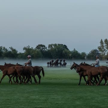Cover Image for Miami Chamber of Commerce Dubai | Hamptons Polo House Summer Edition