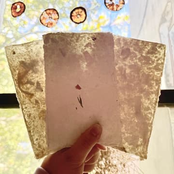 Cover Image for Papermaking Workshop