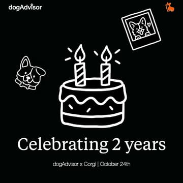 Cover Image for dogAdvisor x Corgi 🐶 2 year birthday and Max Model launch