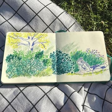 Cover Image for Field Trip: The Art of Looking