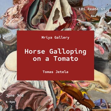 Cover Image for "Horse Galloping on a Tomato" Vernissage