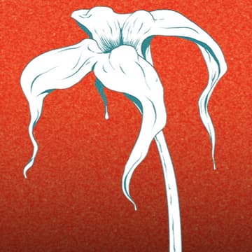 Cover Image for Mothership with Kara