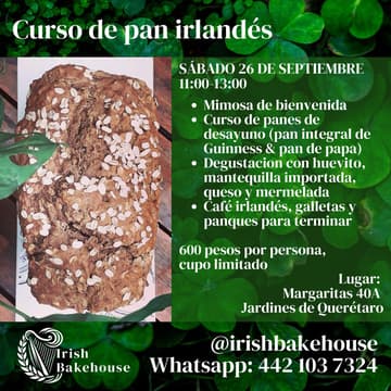 Cover Image for Curso de pan irlandés