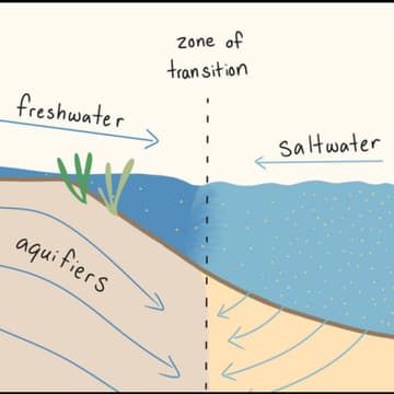 Cover Image for Innovation Conversation: Saltwater Intrusion