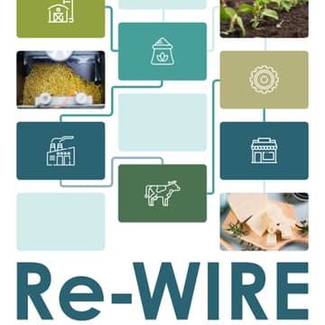 Cover Image for [Mesa Redonda] Construção do caso comercial para o investimento em resiliência na cadeia de valor da soja