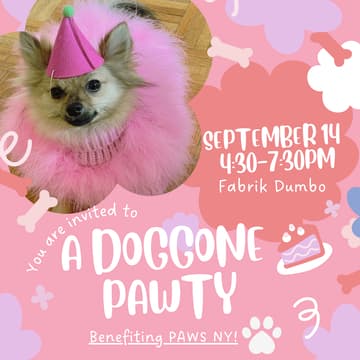 Cover Image for A Doggone Good Time