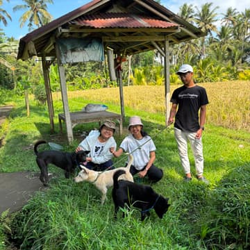 Cover Image for Dog Walking with Bawa Foundation