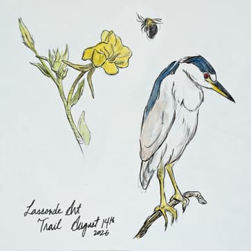 Cover Image for Sketch and Walk: Nature Sketching with Alan Li (Senior-friendly)