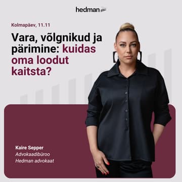 Cover Image for Vara, võlgnikud ja pärimine: kuidas oma loodut kaitsta?