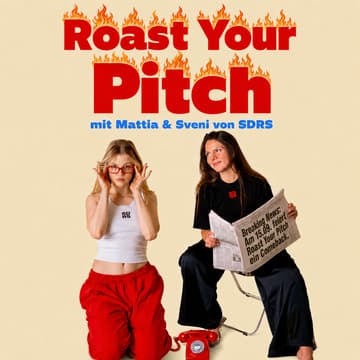 Cover Image for Roast your Pitch!
