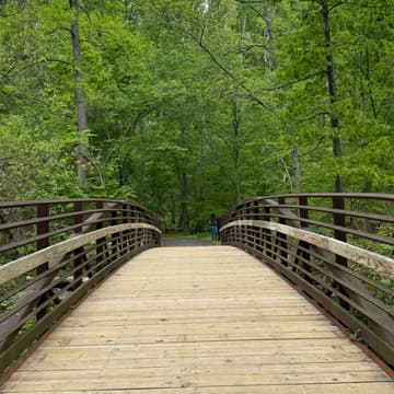 Cover Image for Creative Field Trip 6: Leakin Park