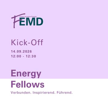 Cover Image for Energy Fellows - Kick-Off