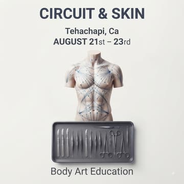 Cover Image for Circuit and Skin
